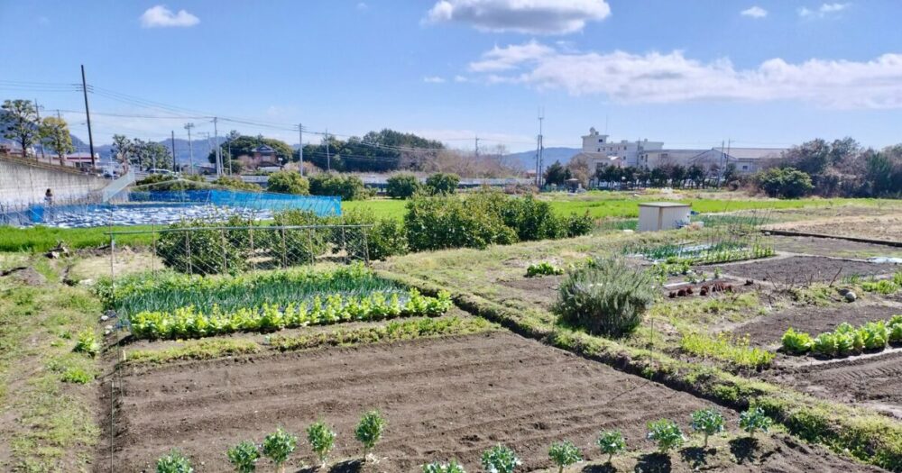 a247ffc52d06d6a5ce744197159df807 - 行政書士として不動産分野で働くには？できる手続きとできない業務をわかりやすく解説