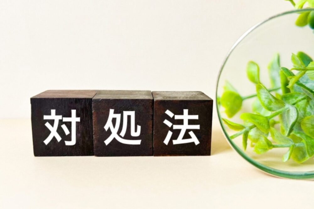 2222 - 行政書士の面接対策完全ガイド｜事前準備から質問対策・マナーまで徹底解説